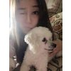 Thetford Mines oriental girls